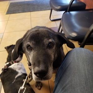 Meet your Posher, John